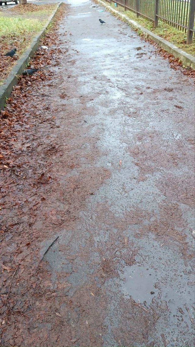 ❗️Жители Коломны жалуются на состояние улицы Малышев...