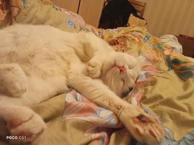 Нацелованный, наглаженный Тимофейка улёгся спать♥️♥...