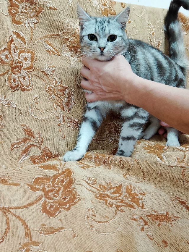 В дотрые руки,стерильна
89308413854