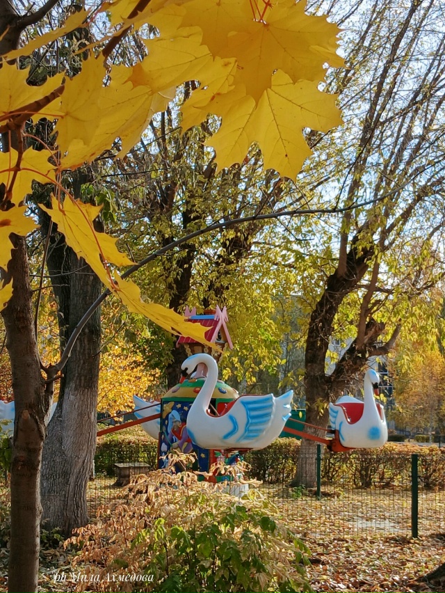 Городской парк.🍁🎡🎠
Октябрь.