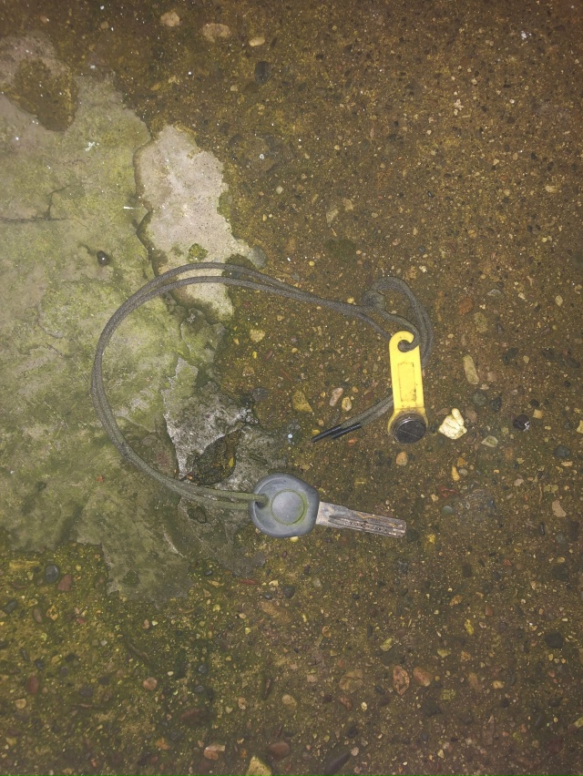 Фото 1. Найдены ключи у фикс прайса
[id140472613|Ирина Любимо?...