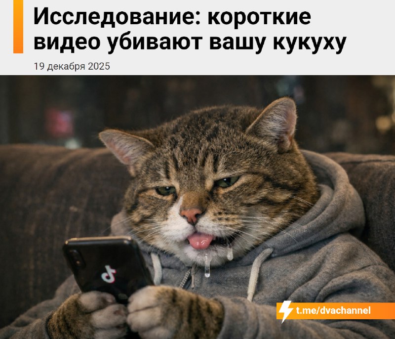 ‼️Короткие видео убивают вашу психику: они перегружают мозг, усиливают проявления СДВГ и повышают тр