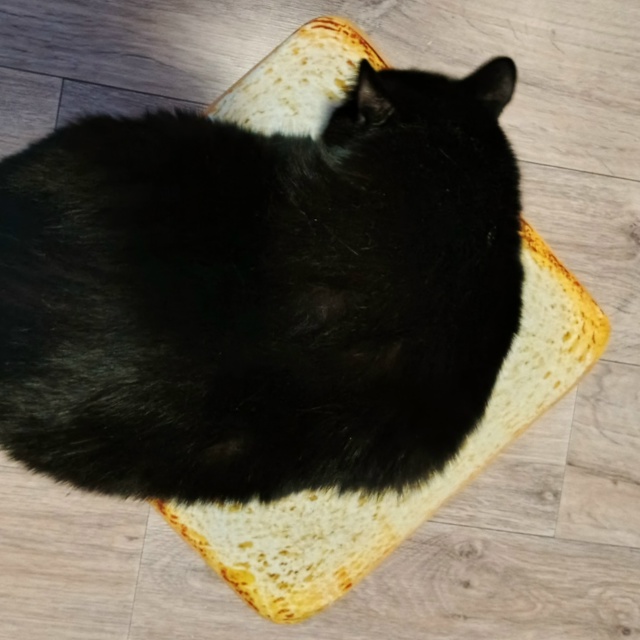 Finally: НАХЛЕБНИК