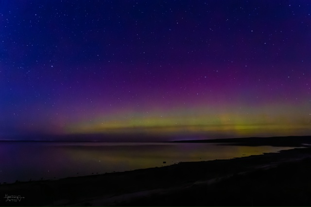 Северное сияние на Рыбинском водохранилище ❤️
12.11.2025...