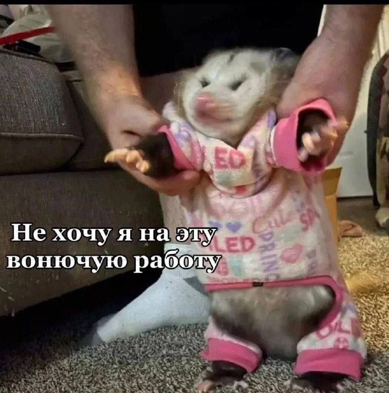 mood