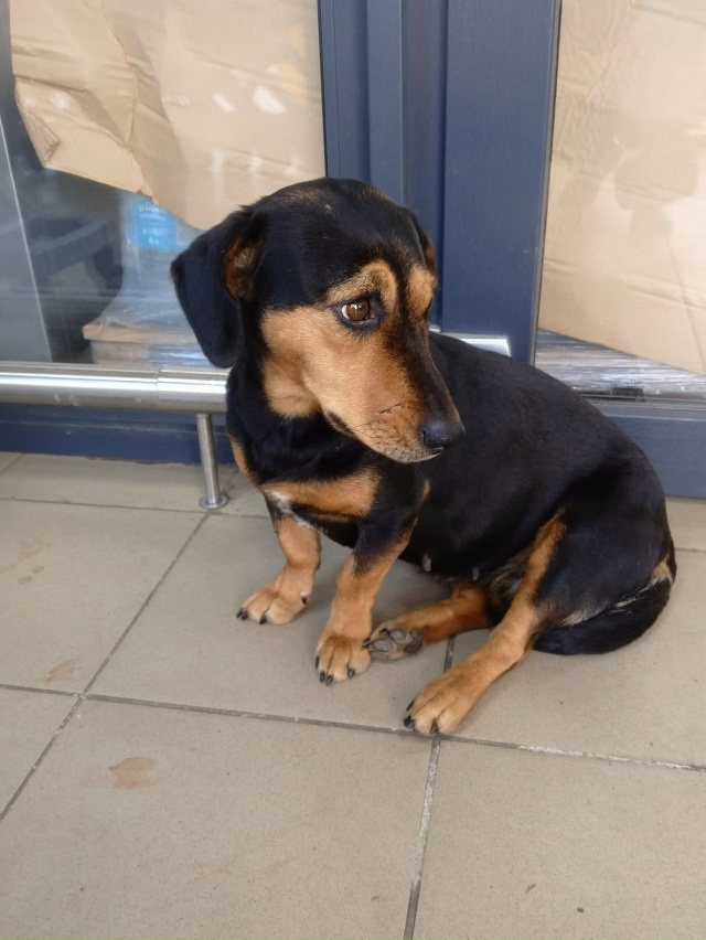 Пропустите, пожалуйста
🆘️🆘️🆘️🆘️🆘️🆘️🆘️🆘️?...