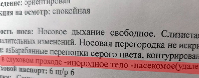 Паук жил неделю в ухе уфимки и сплёл там паутину.
Женщ?...