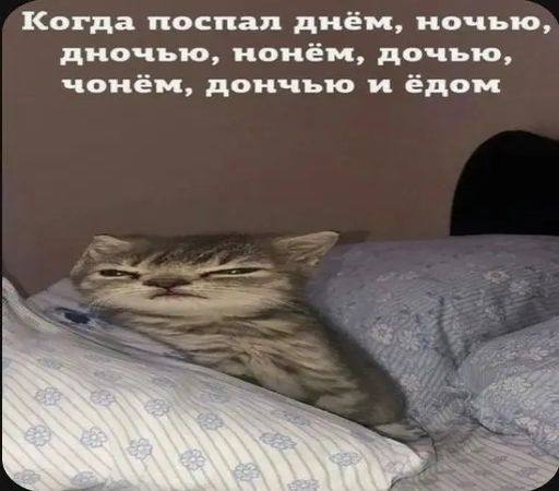 Утренняя подборочка