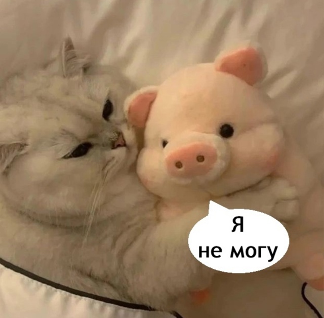 Ой как же это про нас