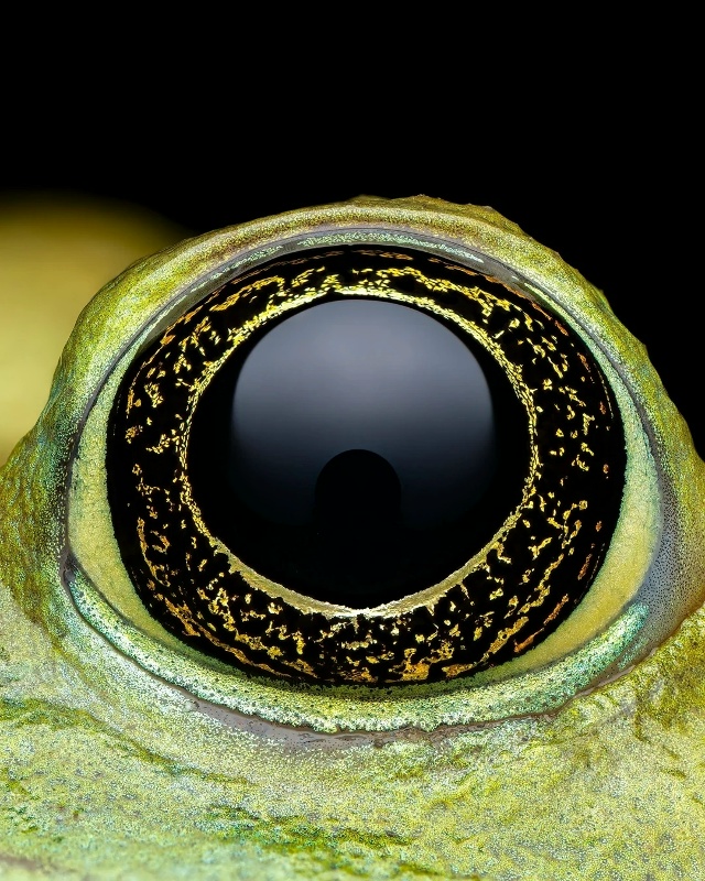 Сможете понять где чьё зеркало души? Глаз - сенсорный ?...