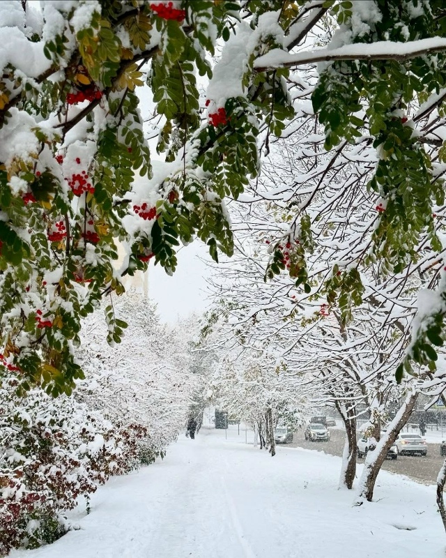 Дoбpoe утpo, дpузья! Отличнoгo вaм дня и хopoшeгo нacтpoeния!