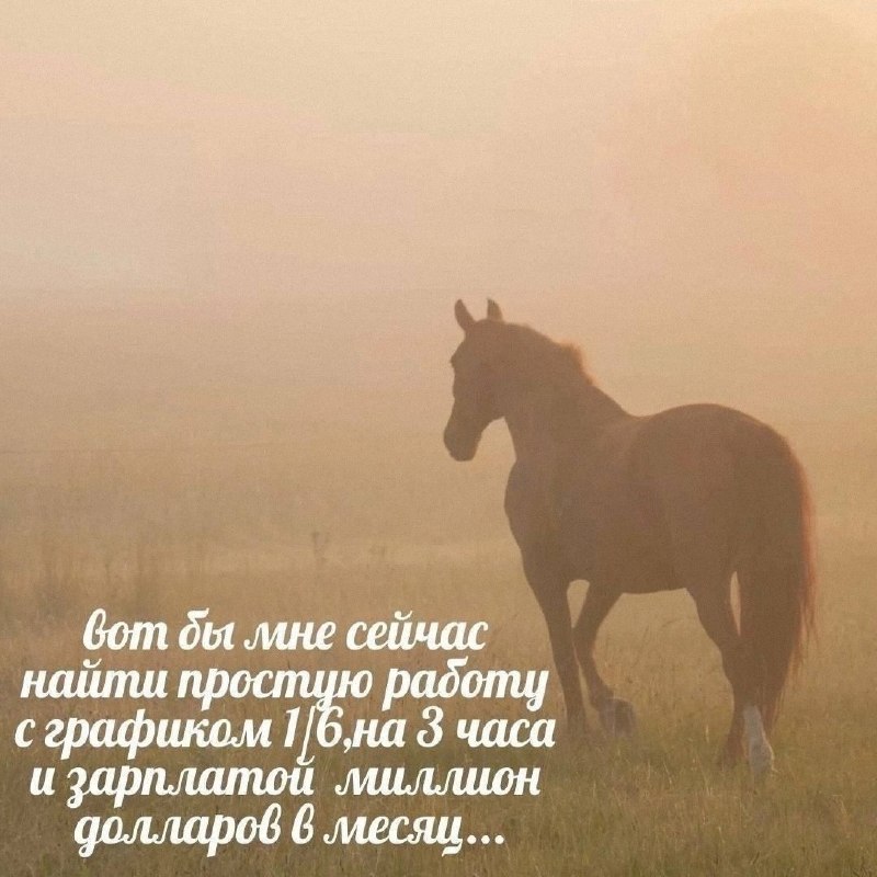 Утренняя подборочка