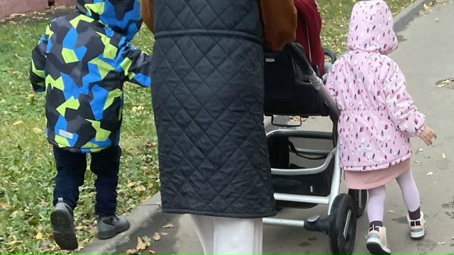 ‼️ Брянский депутат поддержал идею «родительской зар...