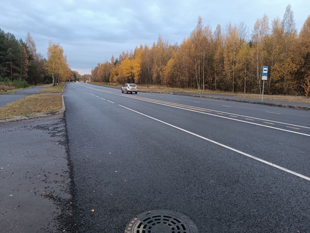 Доброе утро! Хотела поднять вопрос дорожной разметки н...
