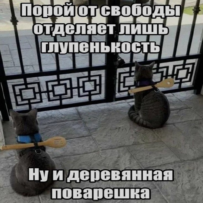 Ночная подборочка
Спать, режим