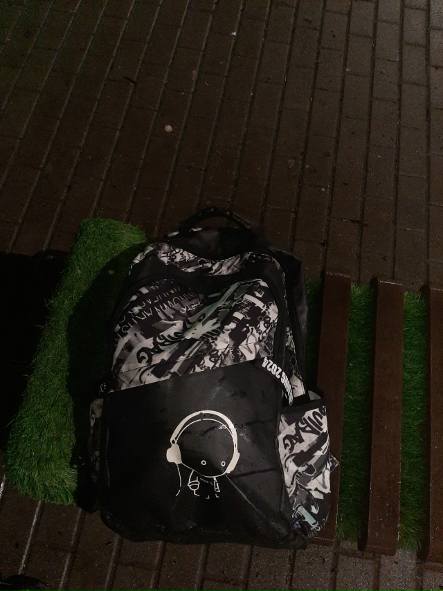 Родители, чей ребёнок забыл свой мяч, у медведей?