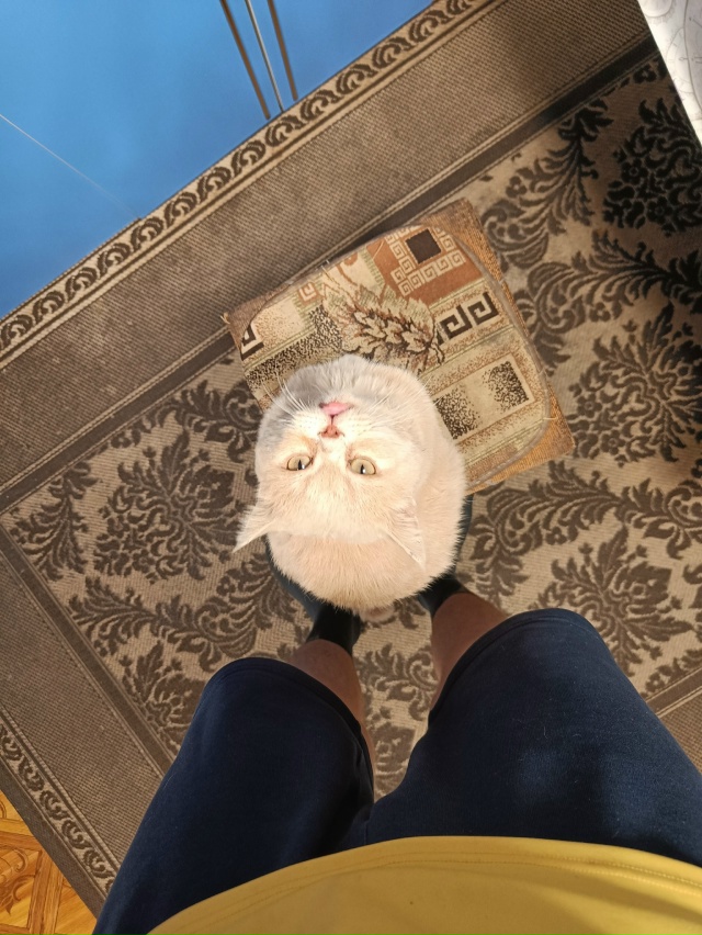 Нюша и Нюшонок (Маркус) точно что-то знают...