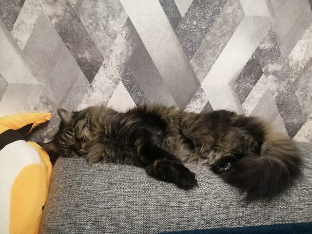 Наша Маша 12лет.