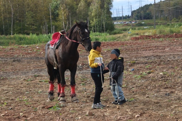 👮‍♂️ Массовая игра с тушей козла стала причиной про?...