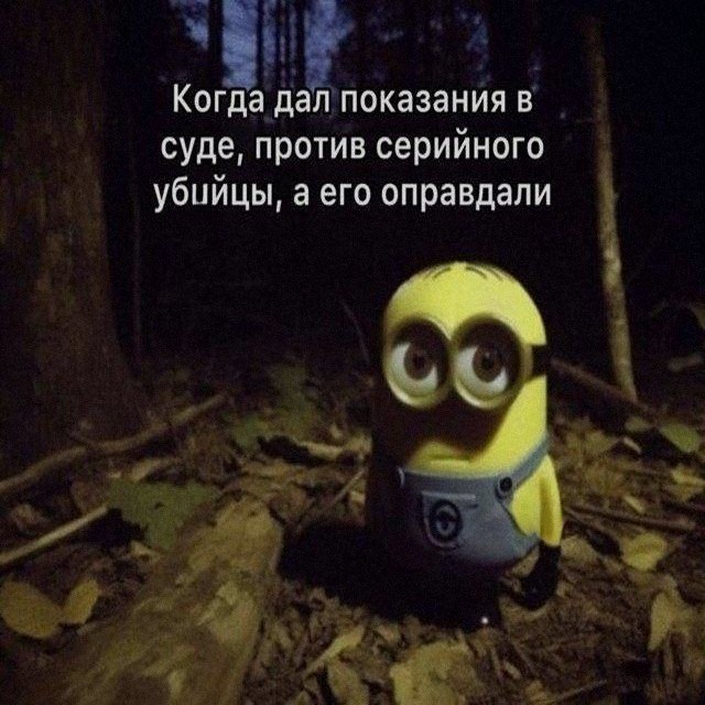 Ночная подборочка
Выходные, не спим