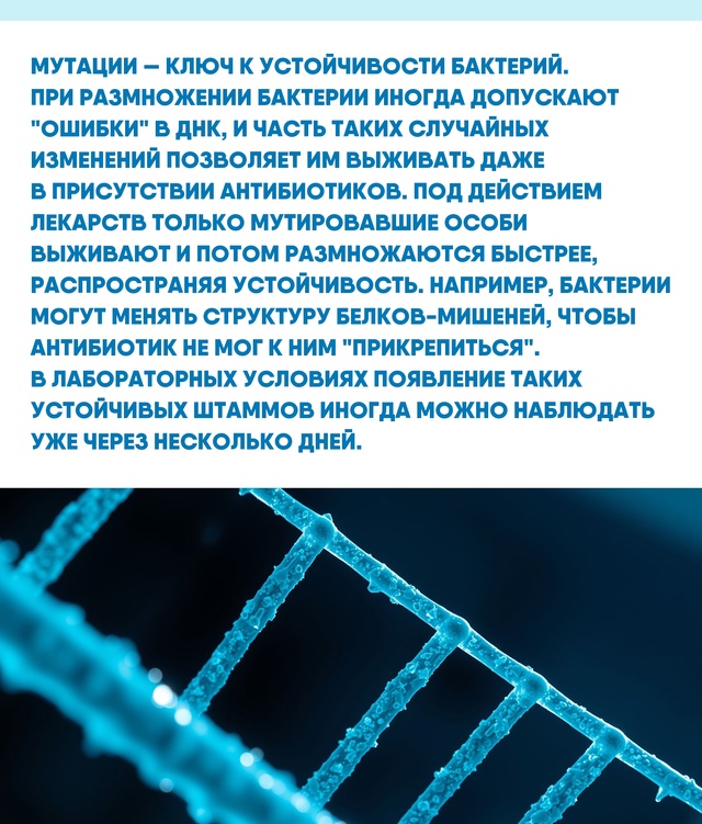 Мутации и горизонтальный перенос делают борьбу с усто?...