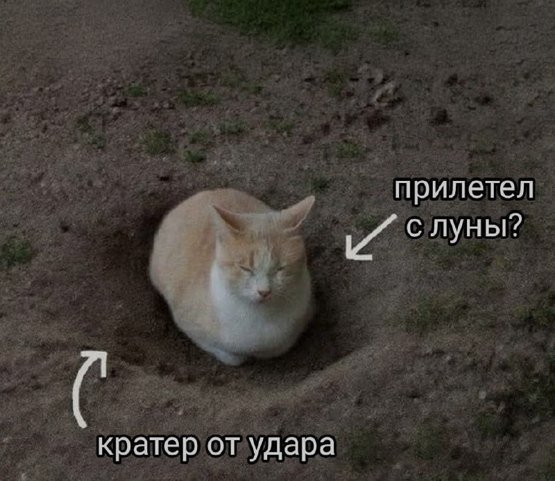 Ночная подборочка
Спать, режим