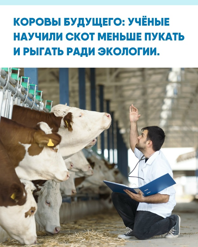 Шотландские учёные нашли способ снизить метановые выб...