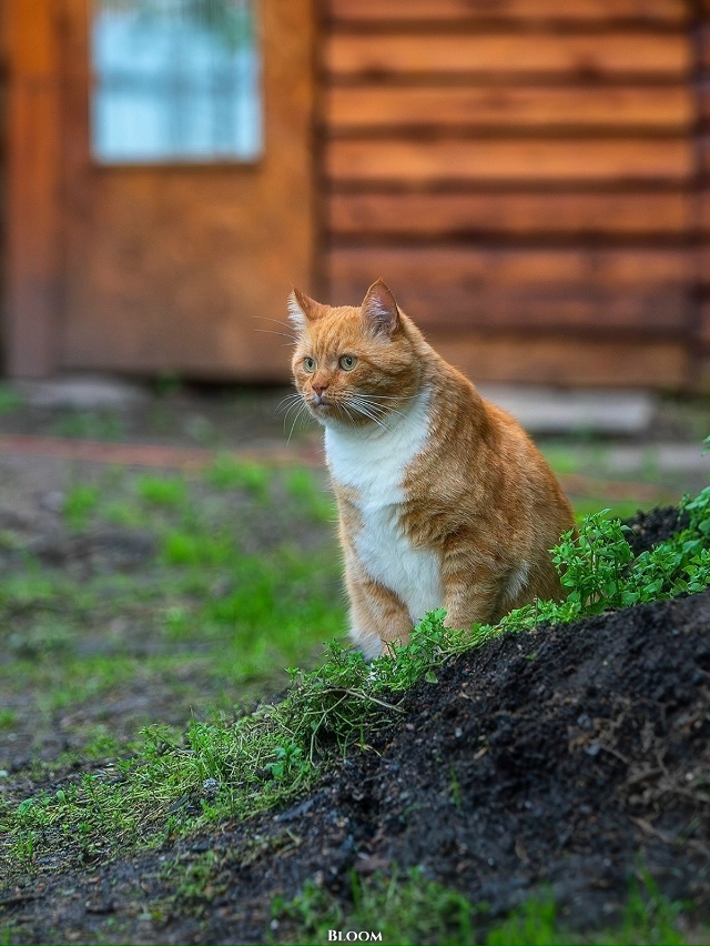 Это Филипп Александрович — человек, который по-настоя?...