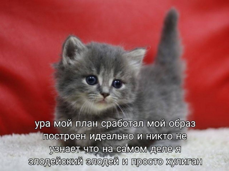 Утренняя подборочка