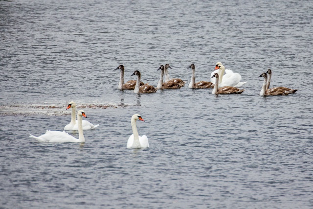 Осенняя красота пруда (с.Орда) ???