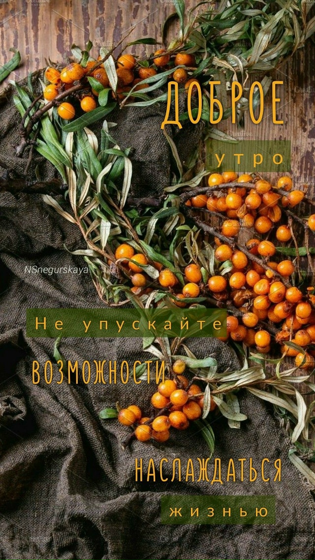 Доброе утро Подслушано!