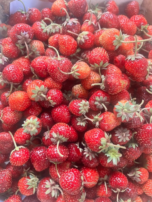 ⚠🍓⚠🍓⚠🍓⚠🍓⚠🍓 Жители г. Лангепас!!! Суббота, 19 июл?...