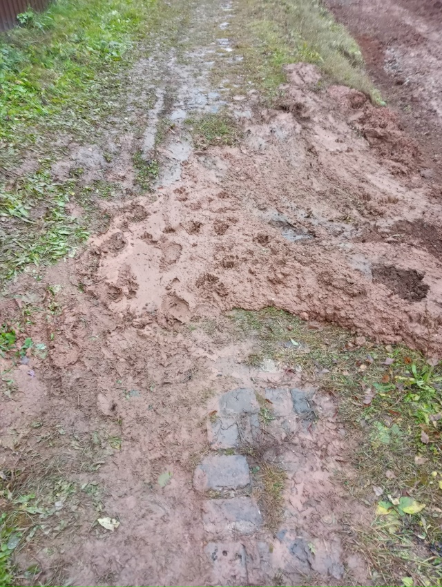 Уважаемая организация МАУ 