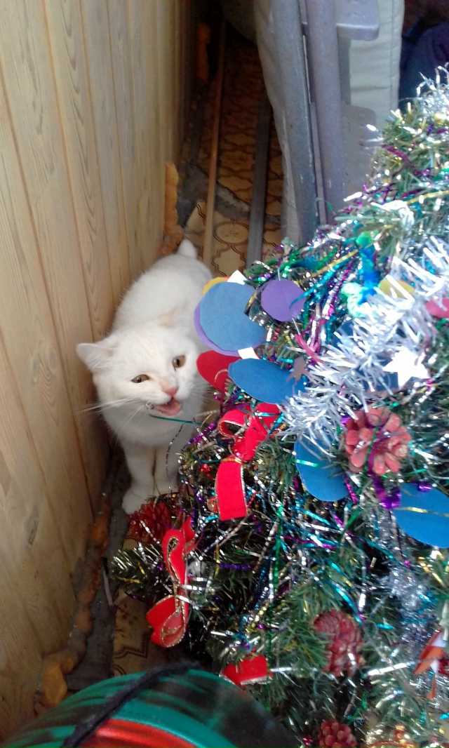 Уже скоро...