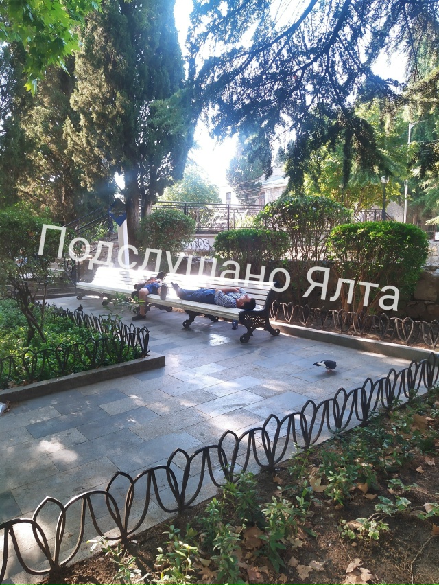 Парки и скверы Ялтинского региона обработают от разли?...