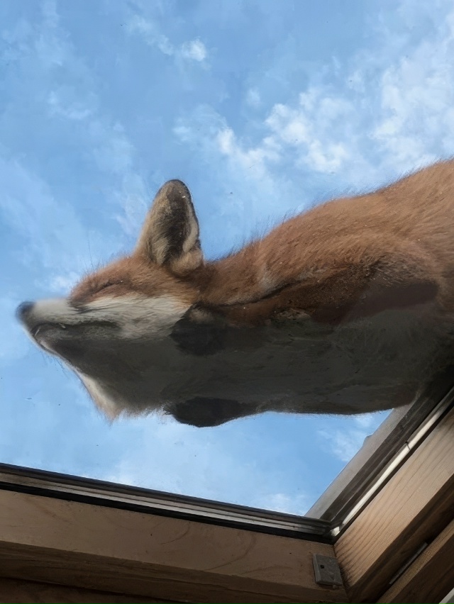 Причина номер один, почему я мечтаю о доме с мансардным...