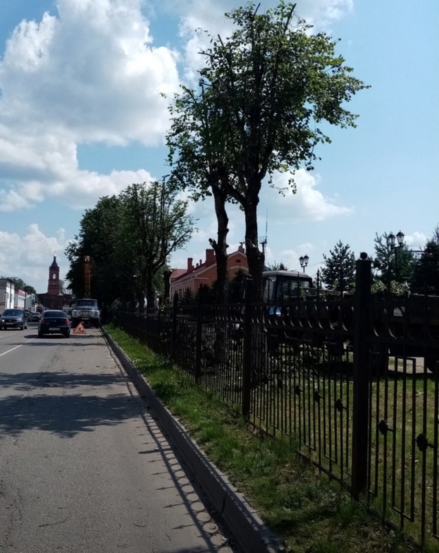 Сегодня наблюдала как опиливают липы на Ленина, на при?...