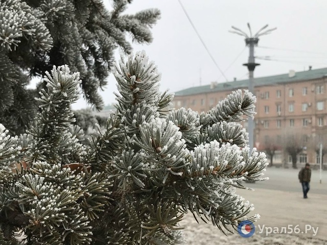 Туман почти рассеялся, изморозь осталась: Как выглядит...
