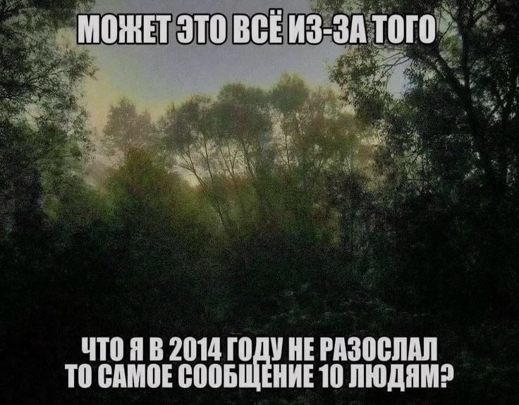 Ночная подборочка
Спать, режим