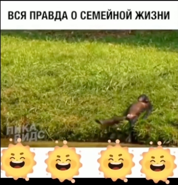 Семeйнaя жизнь