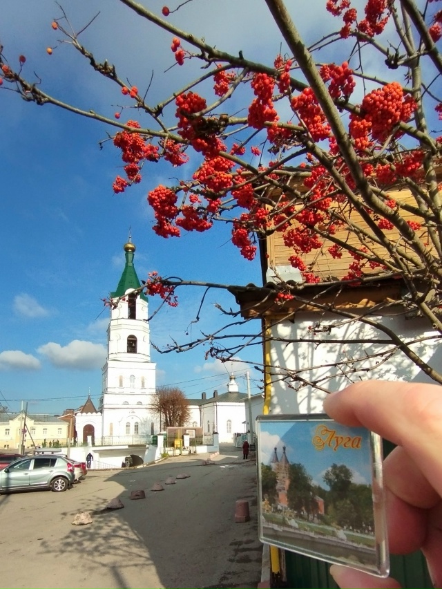 Осенний привет из Рязани.
#приветЛуга
