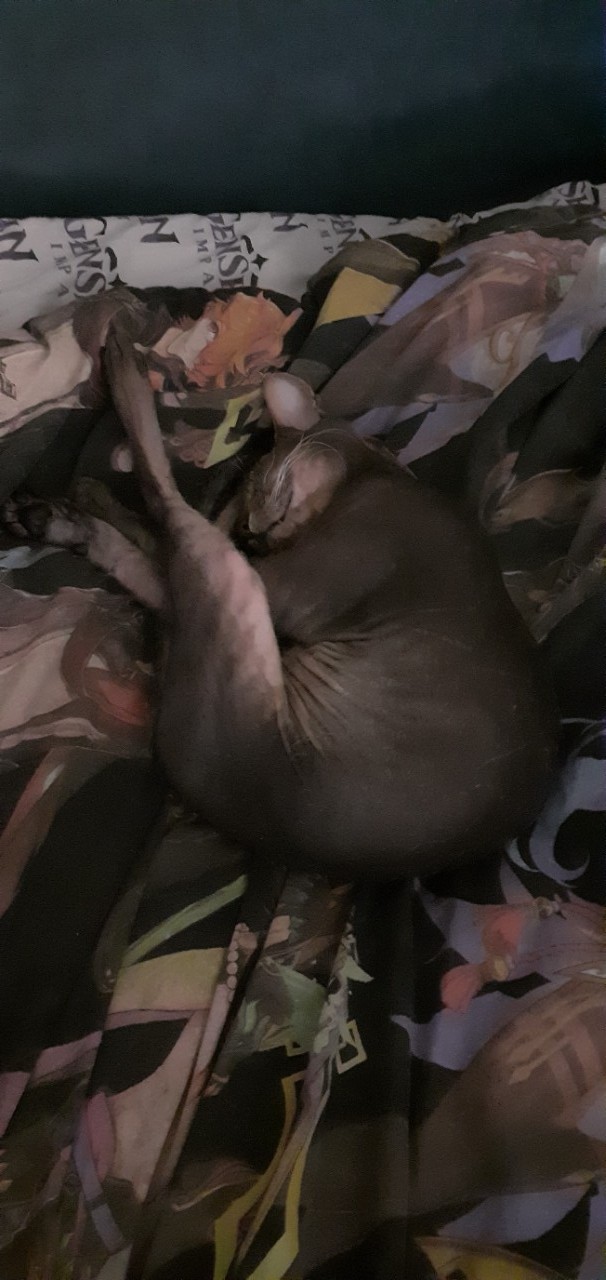 Уроки йоги от Саймона