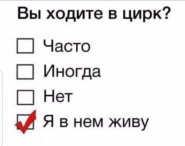 Сегодня Всемирный день цирка.
Всех с праздником.