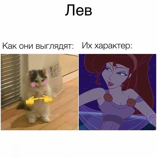 Вы узнаете себя, 100% 😂