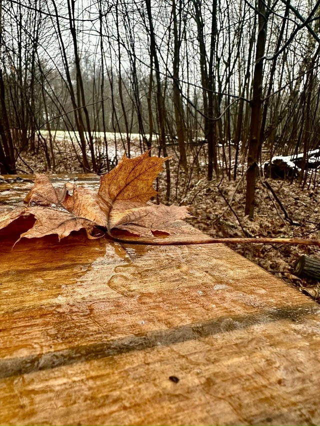 Осень теряет свои яркие краски, но не перестаёт быть за...