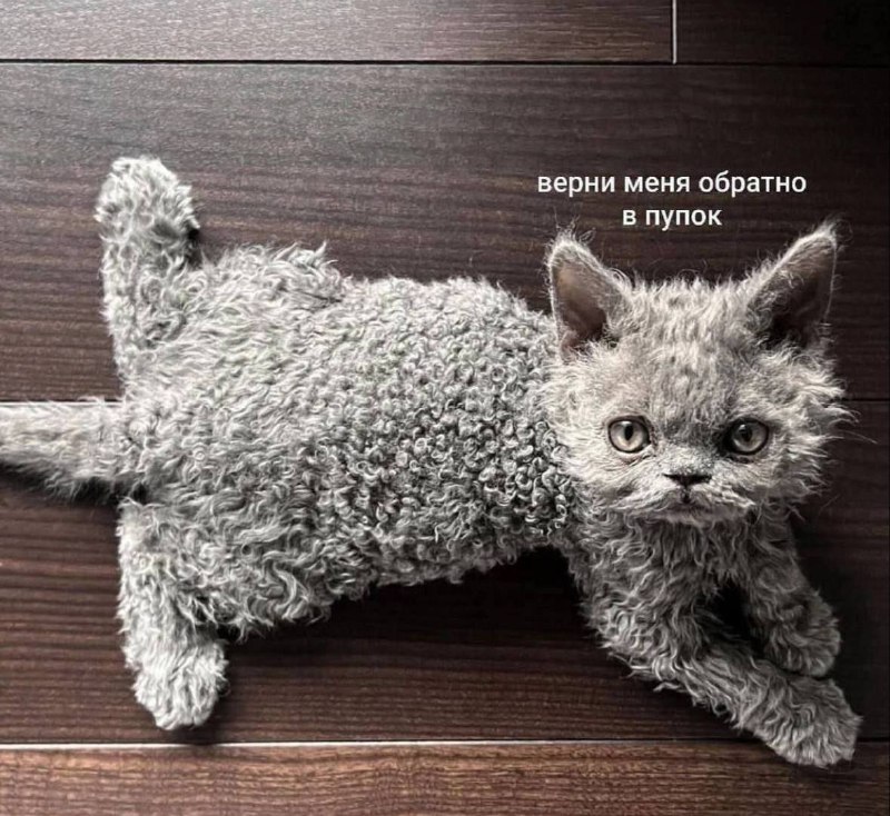 Утренняя подборочка