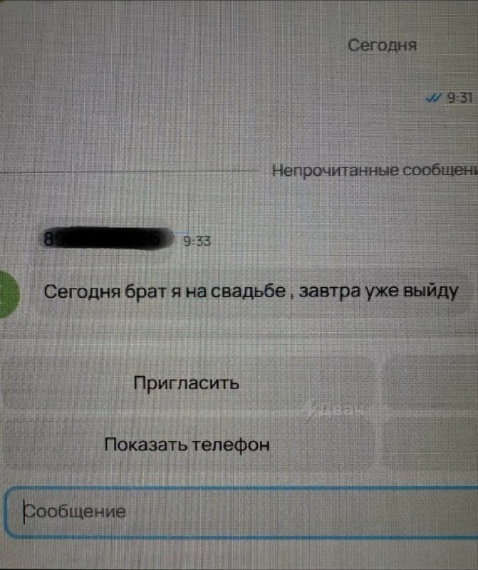«Тогда если чё пишите»: эйчар из Дагестана поделился переписками с местными соискателями.
Один канд