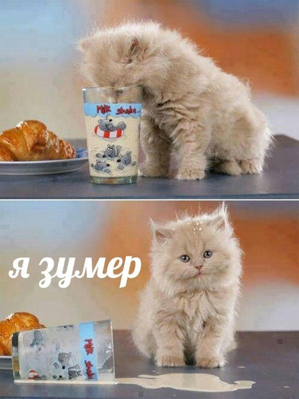Зумеров в Москве начали учить подавать стакан воды родителям в старости.
Для этого запустили специ