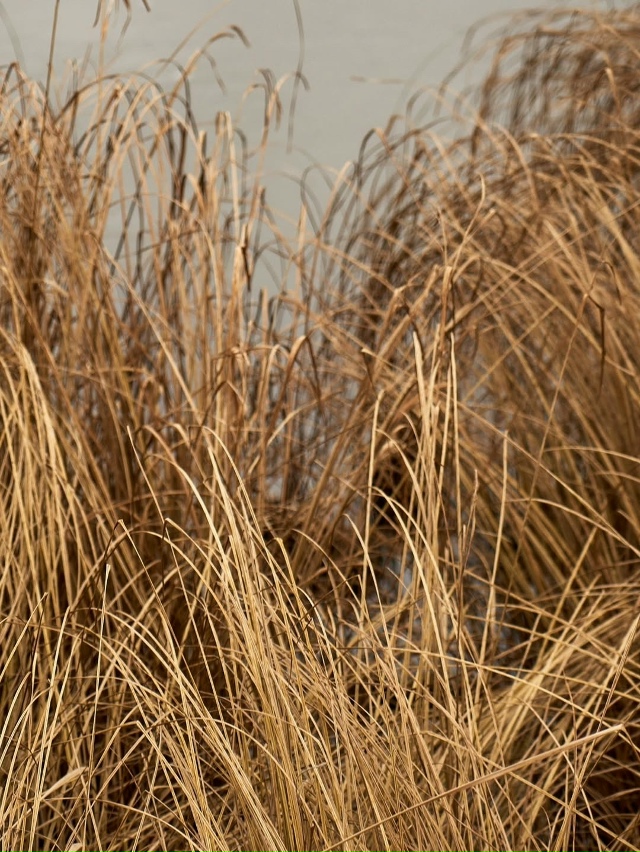 Ноябрь в Екатеринбурге🍂