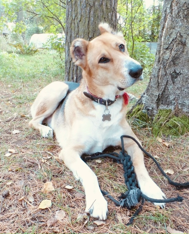 Спб и Ленобласть!
Кай в ожидании своего Человека!
Истор...